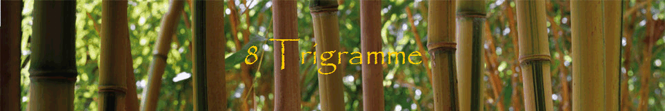 8 Trigramme